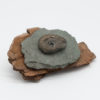 Linda McFarlane: Driftwood and Stone Fossil Brooch