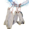 Ghostfishing necklace